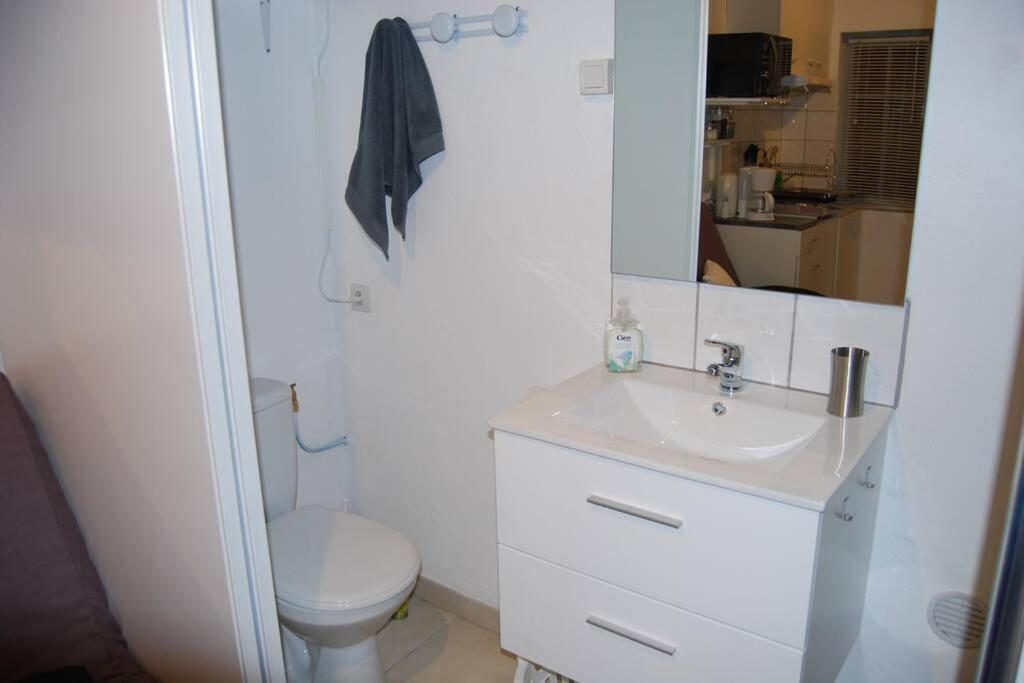 L'atelier A 100 M De Tarbes Sud Vakantiehuis *