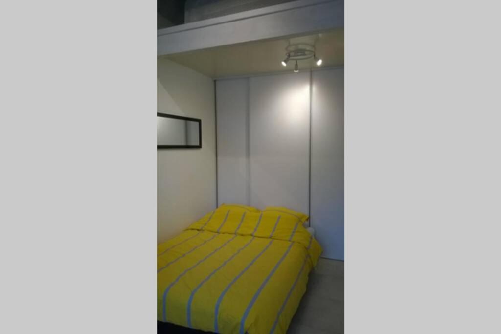 Vakantiehuis L'atelier A 100 M De Tarbes Sud *